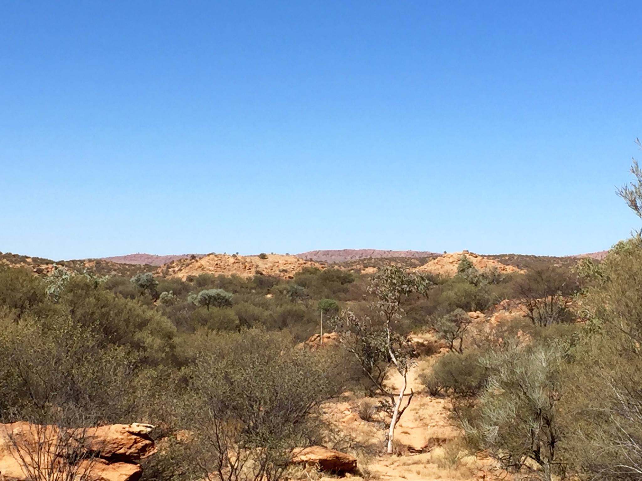 Larapinta Trail